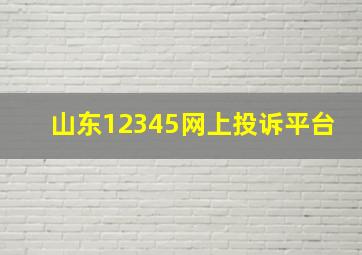 山东12345网上投诉平台