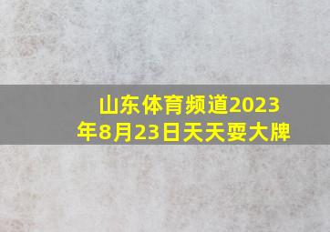 山东体育频道2023年8月23日天天耍大牌