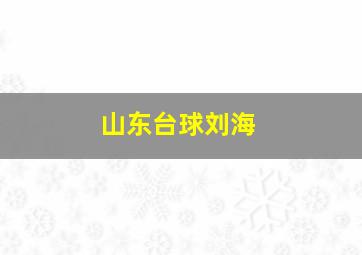 山东台球刘海