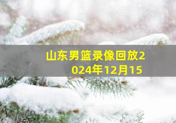 山东男篮录像回放2024年12月15