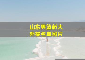 山东男篮新大外援名单照片