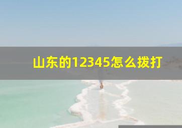 山东的12345怎么拨打