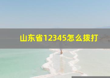 山东省12345怎么拨打