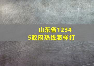 山东省12345政府热线怎样打