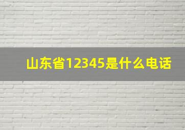 山东省12345是什么电话