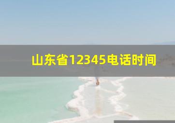 山东省12345电话时间