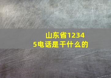 山东省12345电话是干什么的