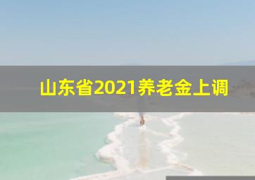 山东省2021养老金上调