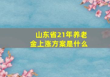 山东省21年养老金上涨方案是什么