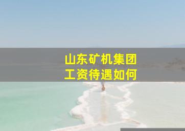 山东矿机集团工资待遇如何