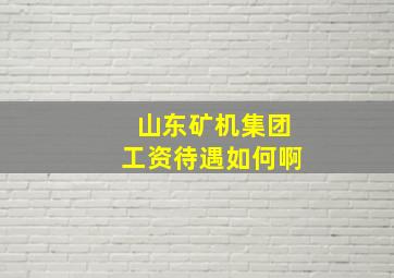 山东矿机集团工资待遇如何啊