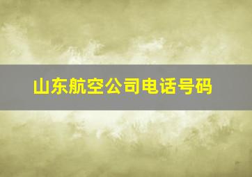 山东航空公司电话号码