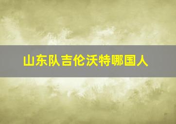 山东队吉伦沃特哪国人