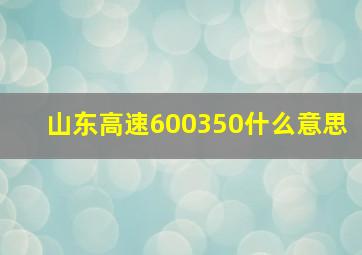 山东高速600350什么意思