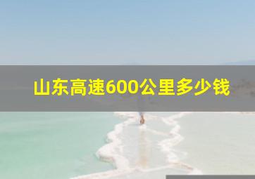 山东高速600公里多少钱