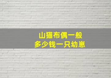 山猫布偶一般多少钱一只幼崽