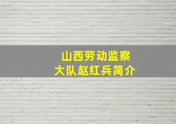 山西劳动监察大队赵红兵简介