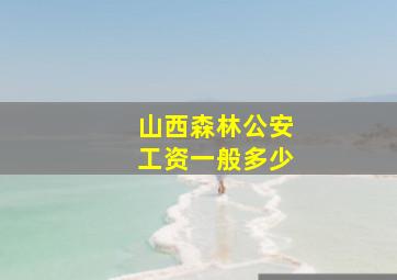 山西森林公安工资一般多少