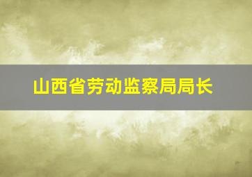 山西省劳动监察局局长