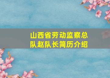 山西省劳动监察总队赵队长简历介绍