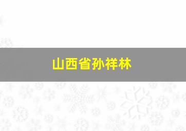 山西省孙祥林