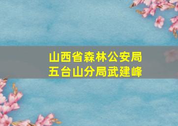 山西省森林公安局五台山分局武建峰