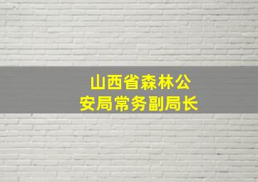 山西省森林公安局常务副局长