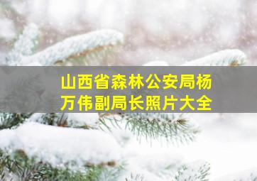 山西省森林公安局杨万伟副局长照片大全