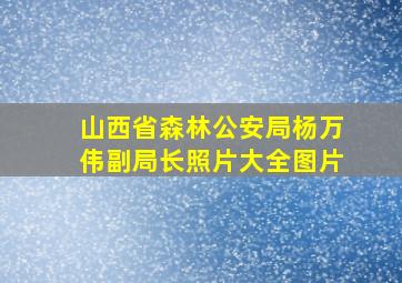 山西省森林公安局杨万伟副局长照片大全图片