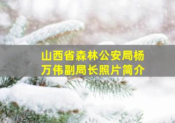 山西省森林公安局杨万伟副局长照片简介