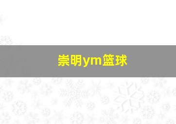 崇明ym篮球