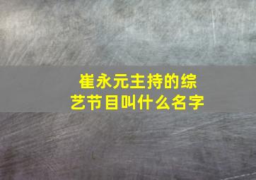 崔永元主持的综艺节目叫什么名字