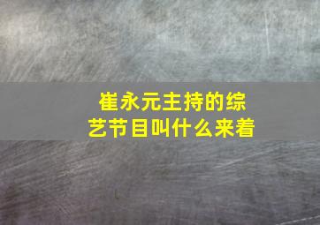 崔永元主持的综艺节目叫什么来着