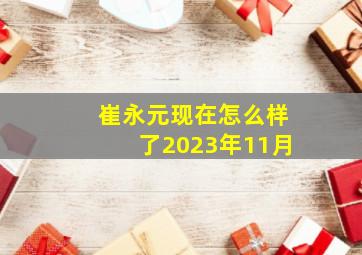 崔永元现在怎么样了2023年11月