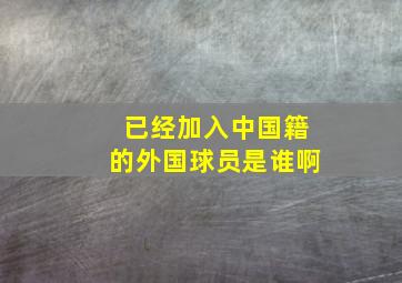 已经加入中国籍的外国球员是谁啊