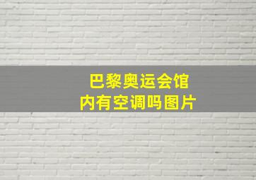 巴黎奥运会馆内有空调吗图片