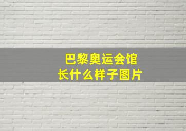 巴黎奥运会馆长什么样子图片