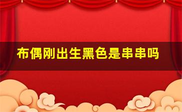 布偶刚出生黑色是串串吗