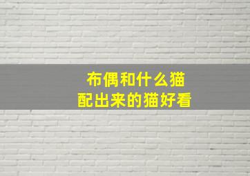 布偶和什么猫配出来的猫好看