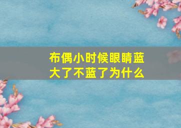 布偶小时候眼睛蓝大了不蓝了为什么