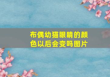 布偶幼猫眼睛的颜色以后会变吗图片