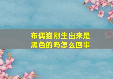 布偶猫刚生出来是黑色的吗怎么回事