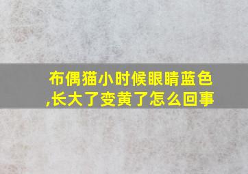 布偶猫小时候眼睛蓝色,长大了变黄了怎么回事