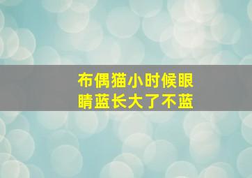 布偶猫小时候眼睛蓝长大了不蓝