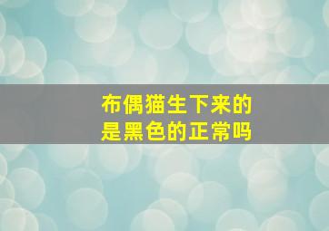 布偶猫生下来的是黑色的正常吗