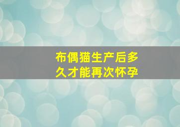 布偶猫生产后多久才能再次怀孕