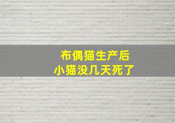 布偶猫生产后小猫没几天死了