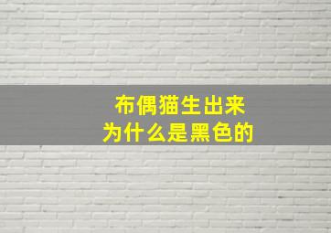 布偶猫生出来为什么是黑色的