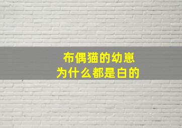 布偶猫的幼崽为什么都是白的