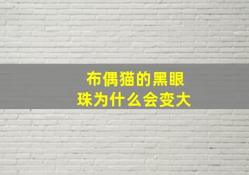 布偶猫的黑眼珠为什么会变大